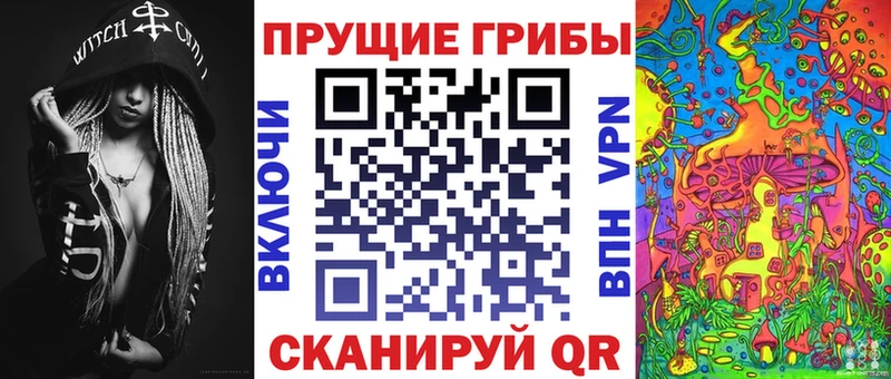 ОМГ ОМГ как зайти  Подпорожье  Галлюциногенные грибы Magic Shrooms 